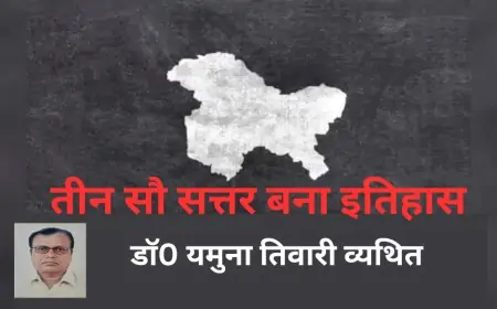 तीन सौ सत्तर बना इतिहास - डाॅ0 यमुना तिवारी व्यथित