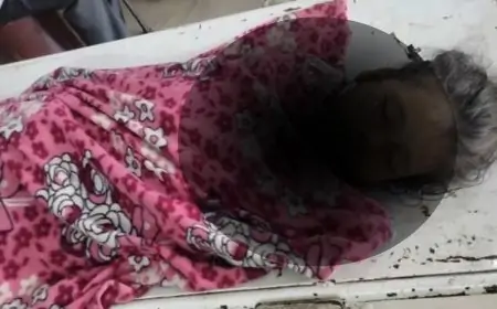 पोटका में जमीन पर सोई बच्ची को सांप ने डंसा, इलाज के दौरान मौत