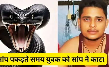 बदायूं: सांप पकड़ते समय युवक को सांप ने काटा, अस्पताल पहुंचने पर खुली बोरी से निकला खतरनाक 'कॉमन करैत', जानें फिर क्या हुआ?