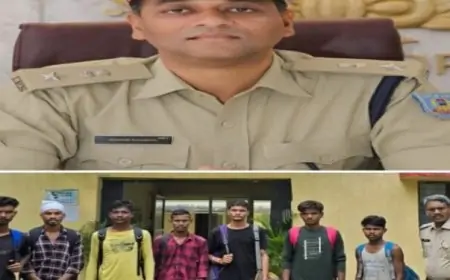 पोटका के 7 मजदूर तमिलनाडु से छुड़ाए गए, समाजसेवी और प्रशासन ने मिलकर की मदद