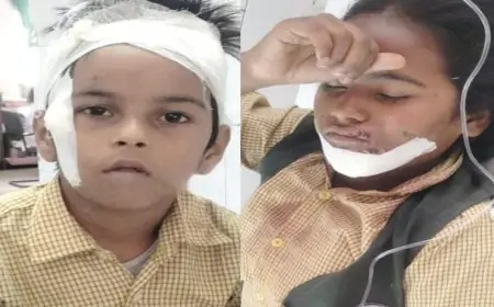 जमशेदपुर: स्कूली बच्चों को कार ने मारी टक्कर, दोनों बच्चे गंभीर रूप से घायल