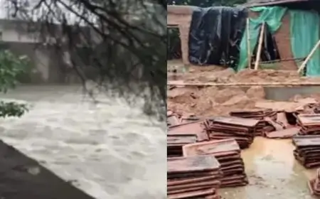 जादूगोड़ा में बारिश बनी आफत, चापड़ी में खपरैल घर टूटा, यूसिल डैम के पास गिरा विशाल पेड़