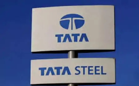 टाटा स्टील ने 1 से 10 करोड़ रुपये के खर्च के लिए नया कमेटी गठित किया: जानें इसके उद्देश्यों और सदस्यों के बारे में