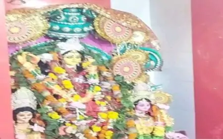 बिरसानगर में शुरू हुआ मां मनसा देवी का 41वां पूजा महोत्सव, जानें इस साल के विशेष आयोजन