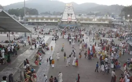 तिरुपति बोर्ड ने नंदिनी घी के ऑर्डर पर लगाई रोक, कर्नाटक मिल्क फेडरेशन ने दी सफाई