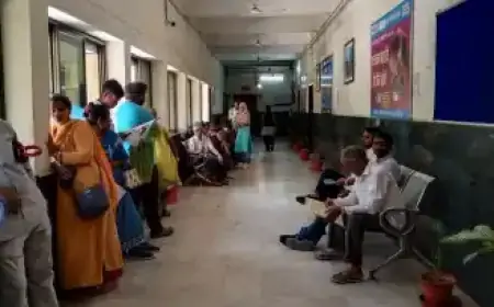 उपायुक्त अनन्य मित्तल ने सुनी जनता की समस्याएँ, किया त्वरित समाधान