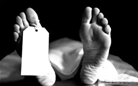 तेज रफ्तार स्कॉर्पियो ने मजदूर को कुचला, मौके पर हुई मौत