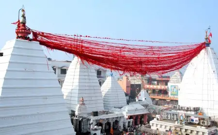 देवघर बाबा मंदिर में हादसा: श्रद्धालु की गिरने से हुई मौत, स्वजन ने की एंबुलेंस की मांग