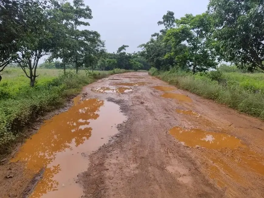 बहरागोड़ा के झाटियाशोल में सड़क की हालत जर्जर, बारिश में सड़क बनी तालाब