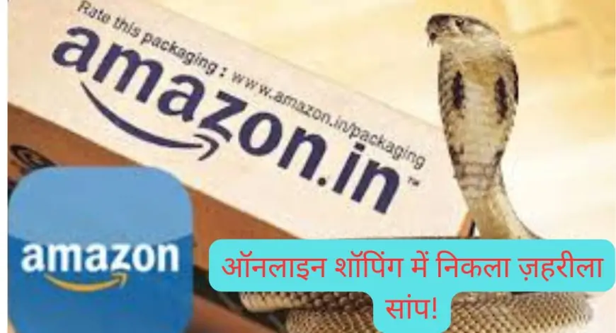 ऑनलाइन शॉपिंग में निकला ज़हरीला सांप! क्या आपने सुना ऐसा हादसा?