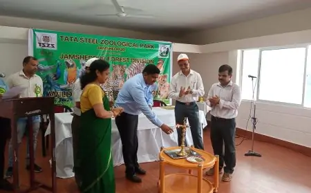 टाटा जू में वन्यजीव सप्ताह 2024 का धमाकेदार आगाज: छात्रों की कला और प्रकृति संरक्षण का अनोखा संगम