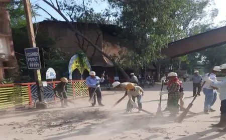 स्वच्छता ही सेवा: भिलाई इस्पात संयंत्र के रिफेक्ट्री मटेरियल प्लांट-2 में स्वच्छता अभियान के तहत श्रमदान से जुड़ी हर रोचक जानकारी