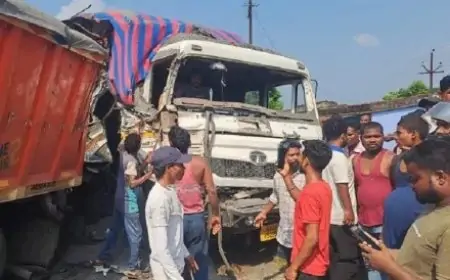 सड़क दुर्घटना में टिप ट्रेलर चालक की मौत: हाईवा चालक गंभीर रूप से घायल
