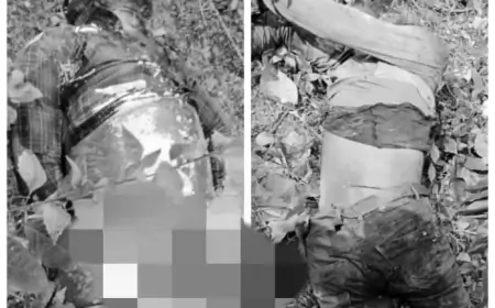 नक्सल प्रभावित क्षेत्र में तीन फेरीवालों की निर्मम हत्या, जांच में जुटी पुलिस