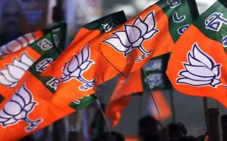 भाजयूमो मंत्री अमित अग्रवाल का बड़ा बयान, झारखंड चुनाव में बदलाव की मांग!