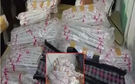 खोज रहे थे गांजा, मिल गई डेढ़ करोड़ की चांदी; जानें क्या है पूरा मामला