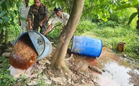 गालूडीह पुलिस का बड़ा एक्शन, अवैध शराब भट्ठी ध्वस्त, 400 किलो जावा महुआ नष्ट