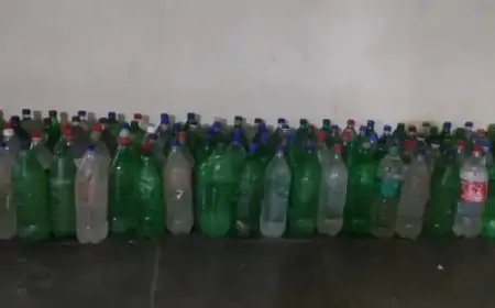 चाकुलिया में अवैध शराब का भंडाफोड़, 274 लीटर महुआ शराब जब्त
