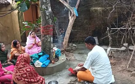 अक्षय नवमी: प्रेमनगर में हुआ आंवले के पेड़ की पूजा का आयोजन, जानें क्यों है ये दिन विशेष