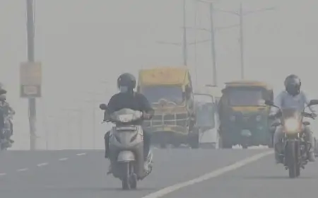 Delhi NCR Air Polluation: 10 में से 4 परिवार लगातार चिकित्सकीय सलाह लेने को मजबूर, मलबे के ढेर बढ़ा रहे समस्या