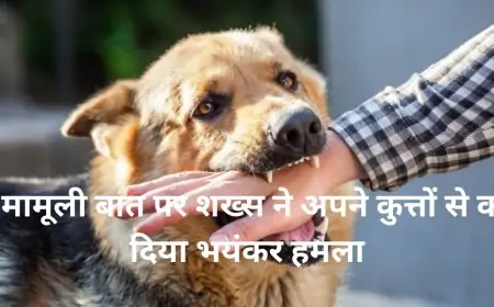 Lucknow Dog Attack: एक मामूली बात पर शख्स ने अपने कुत्तों से करवा दिया भयंकर हमला