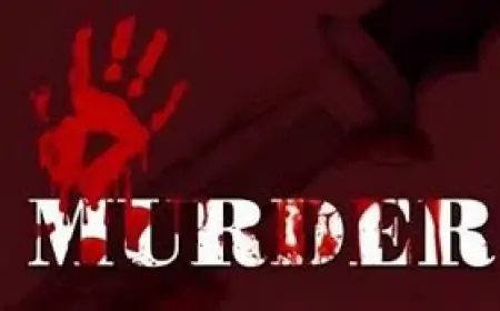 Tiruvottiyur Murder :तिरुवोत्तियुर में सब्जी बेचते वक्त महिला की हत्या, मामूली विवाद में हुई हत्या! जानें पूरा सच!