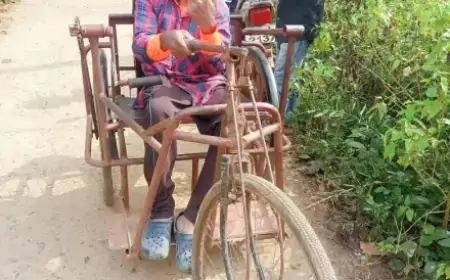 Chakulia Voting: वृद्धों और दिव्यांगों का जोश, परिवार संग पहुंचकर किया मतदान