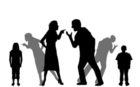 Meerut Family Clash : महिला को बेटी पैदा होने पर ससुराल और मायके पक्ष में खूनी भिड़ंत! जानें पूरा मामला