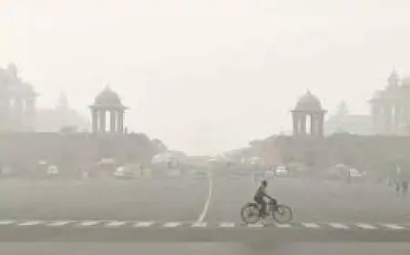 Delhi Pollution: सभी प्राइमरी स्कूल बंद, ऑनलाइन क्लासेस का ऐलान