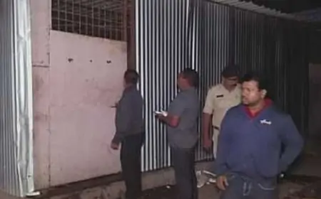 Durg: नकली पनीर की फैक्ट्री का खुलासा, खाने में मिल रही थी खतरनाक मिलावट