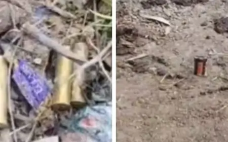 Bhagalpur Bomb Discovery: महमदपुर में मिले देसी बम और खोखे, गांव में फैली दहशत