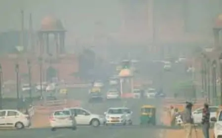Delhi Work From Home: सरकारी दफ्तरों में प्रदूषण से निपटने के लिए बड़ा कदम, जानिए क्या हैं नए निर्देश