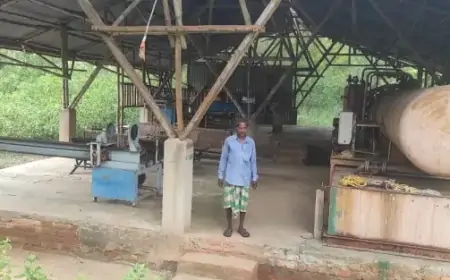 Chakulia Forest: लाखों की लागत से बनी मशीन यूनिट दो साल से बंद, रोजगार की उम्मीदें हुईं ध्वस्त!