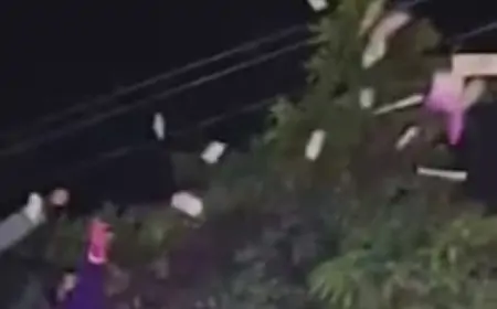 Siddharthnagar Wedding: लाखों के नोटों की बारिश से बारातियों का जश्न! क्या सच में बरसाए गए थे 20 लाख रुपए?