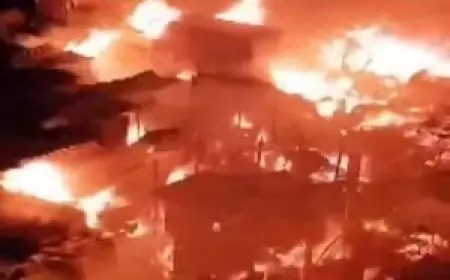Bihar News: भागलपुर में खौफनाक अग्निकांड, दो बच्चों और मां की जिंदा जलकर मौत, एक गंभीर हालत में