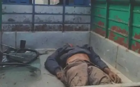 Patmada Accident: सड़क हादसे में युवक की दर्दनाक मौत, अज्ञात टेंपो चालक फरार