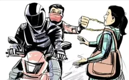 Hazaribagh Robbery: महिला से दिनदहाड़े पर्स लूट, ई-रिक्शा से गिरकर हुई गंभीर घायल