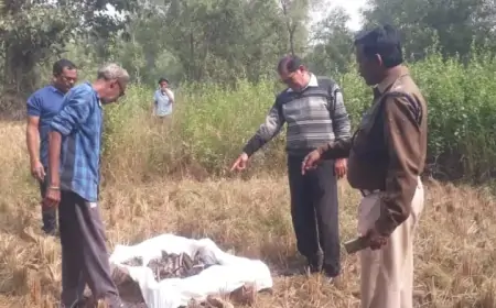 Ghatsila: बरगद के पेड़ के नीचे मिला नरकंकाल, घटना से क्षेत्र में मची सनसनी!
