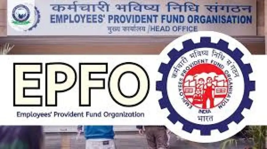 Epfo Minimum Salary Hike : केंद्र से खुशखबरी: EPFO कर्मचारियों की न्यूनतम सैलरी में बड़ा बदलाव संभव!