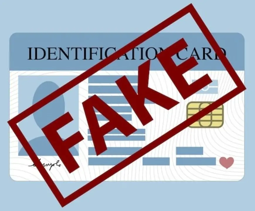 Ahmedabad: Fake ID से खोले बैंक खातों पर ED का शिकंजा, महाराष्ट्र-गुजरात में छापेमारी से बड़ा खुलासा