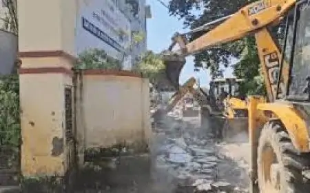 Birni Action: वन विभाग ने ध्वस्त किया अवैध निर्माण, विवाद बढ़ा