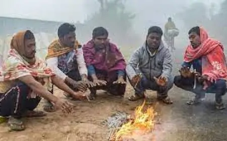Jharkhand Weather : झारखंड में फेंगल तूफान का असर समाप्त, 5 दिसंबर से कड़ाके की ठंड की शुरुआत।