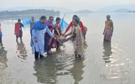 Dimna Lake Initiative: छोड़ी गईं 7.5 लाख मछलियां, जानें कैसे बदलेगा विस्थापित परिवारों का भविष्य