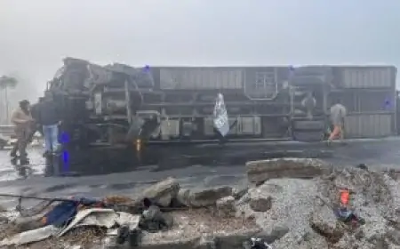Hazaribagh Bus Accident : हजारीबाग में सड़क दुर्घटना: शादी के लिए जा रही बस पलटी, एक दर्जन से अधिक यात्री घायल