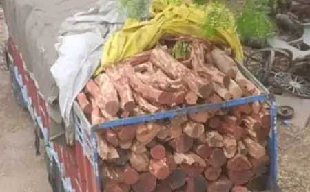 Illegal Wood Seized : जमशेदपुर अवैध लकड़ी कारोबार पर बड़ी कार्रवाई: बोड़ाम में सीओ ने पकड़ा लकड़ी से भरा ट्रक