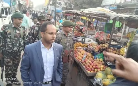 Nawada Dm Inspection : DM ने दिए शहर को ट्रैफिक फ्री और स्वच्छ बनाने के कड़े निर्देश