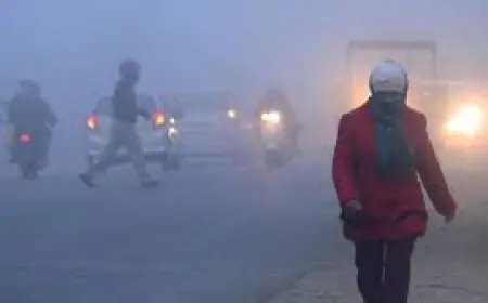 Jharkhand Weather: रांची में Temperature गिरा, अगले 24 घंटे में और बढ़ेगी ठंड, पढ़ें पूरी रिपोर्ट