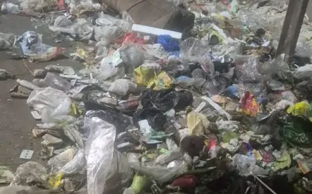 Mango Crisis: मानगो में सड़कों पर बढ़ते कचरे से महामारी का खतरा, समाधान के लिए कब उठेंगे ठोस कदम?