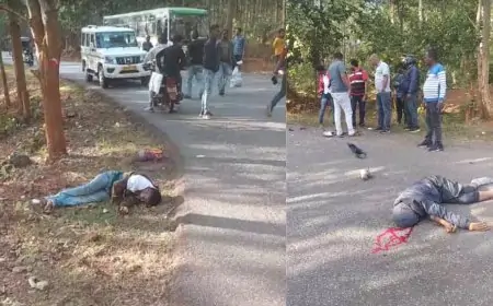 Keonjhar Accident: तेज रफ्तार बस की चपेट में आए दो युवक, मौके पर ही मौत