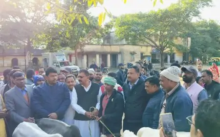 Jarmundi MLA Devendra Kunwar's Visit: किसानों के बीच बेल वितरण के बाद मचा हड़कंप!